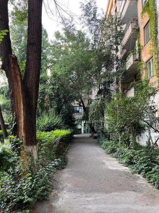 Heart Of Bucharest #Victoriei Apartment Exterior photo